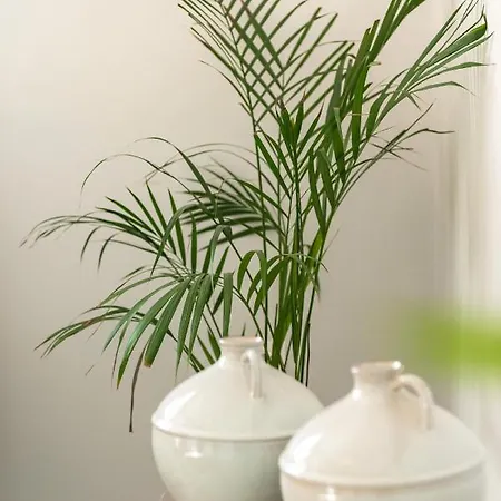 Emelia Cozy Апартаменты